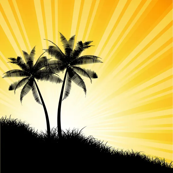 Palm tree bakgrund — Stockfoto
