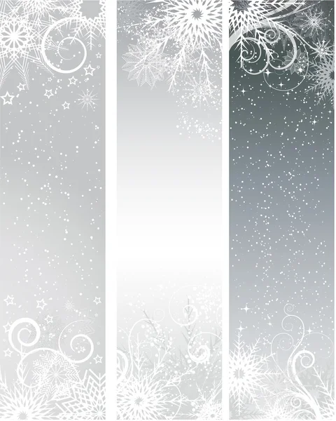 Silberne Winterfahnen — Stockfoto