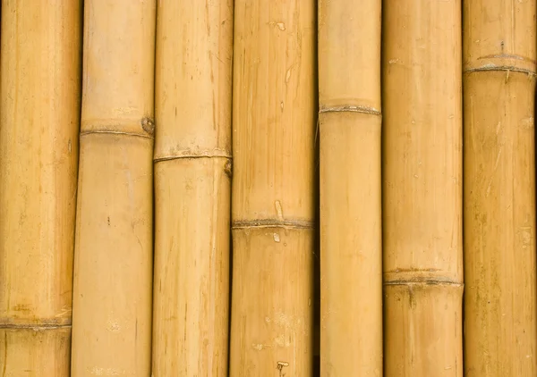 Chiuso sfondo di bambù — Foto Stock