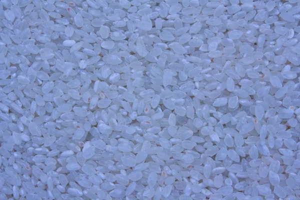 Vista de quadro cheio de arroz de sushi velho. Foco em toda a superfície . — Fotografia de Stock