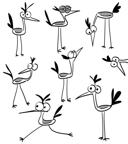 Oiseaux drôles — Image vectorielle