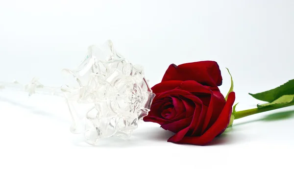 Rose and glass — Stock Photo, Image