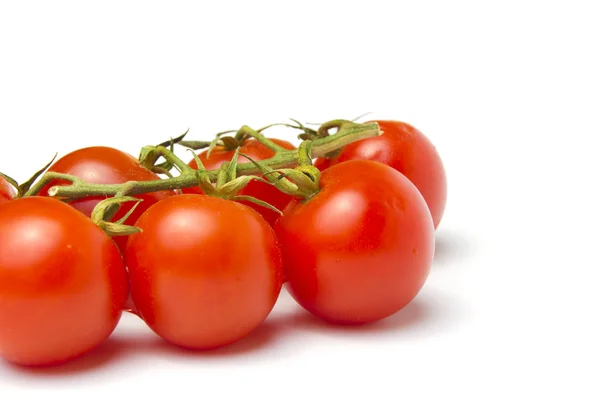 Mini-Tomaten — Stockfoto