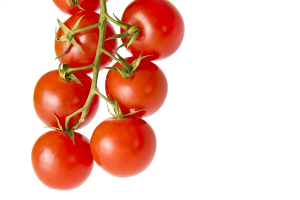 Mini pomidory — Zdjęcie stockowe