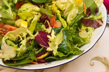 Sony dsc.salad bir tabak taze sebze.