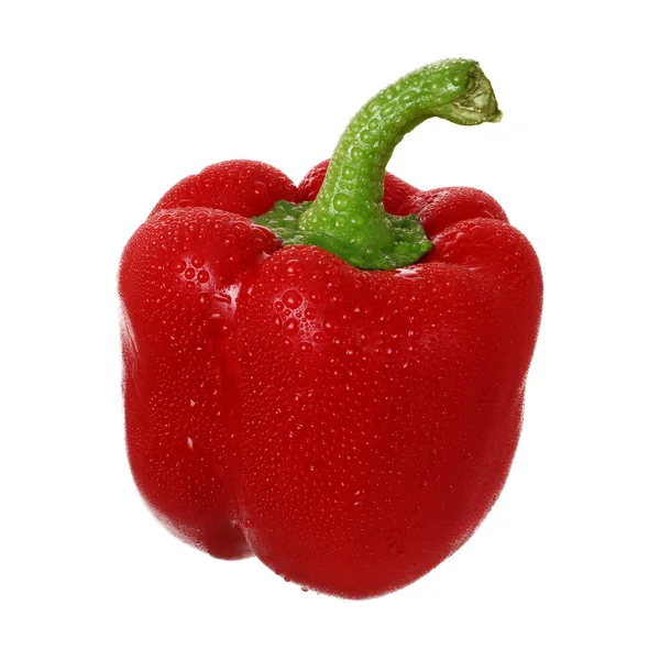 Mokré paprika — Stock fotografie