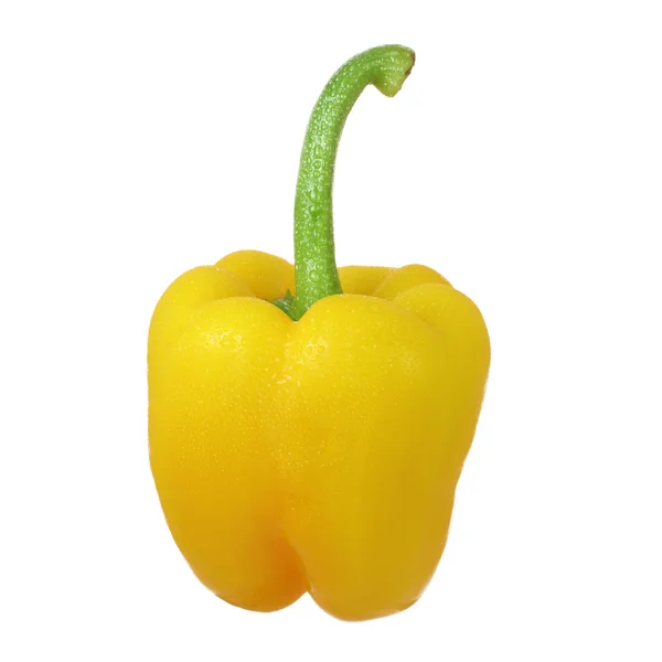 Wet yellow pepper — Stock Photo, Image