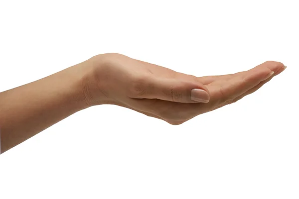 Open hand isolated on white background — Stock Photo, Image