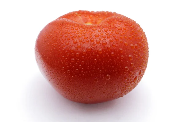 Natte tomaat — Stockfoto