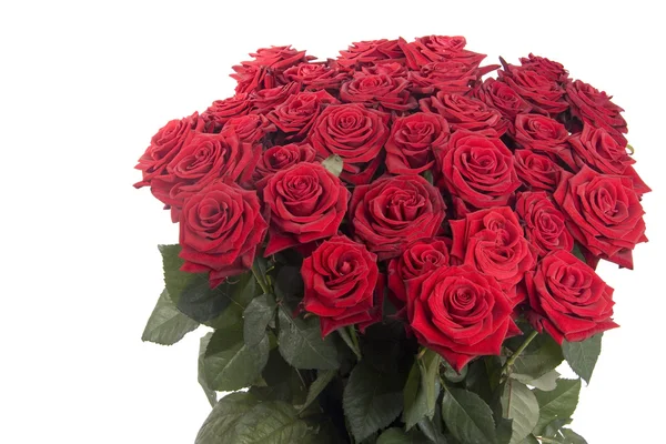 Grand bouquet de roses rouges Image En Vente