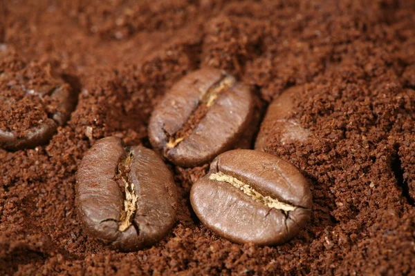 stock image Coffee