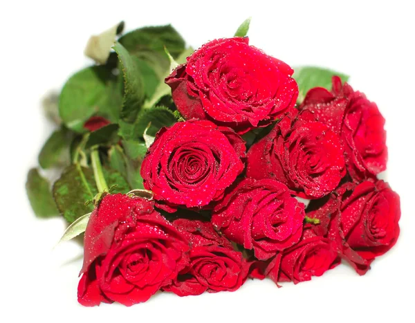 Bunch of red roses — Stock Photo, Image