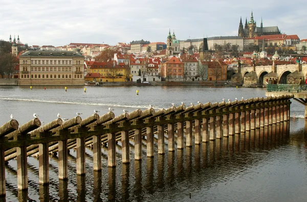PRAG — Stockfoto