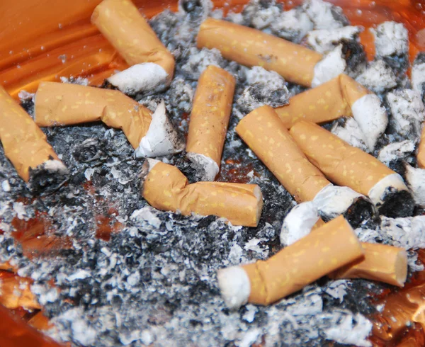 Cigarettes stubs — Stock Photo, Image