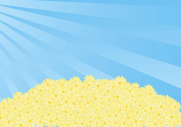 Primavera Sfondo Daisy Flowers Sfondo Blu — Vettoriale Stock