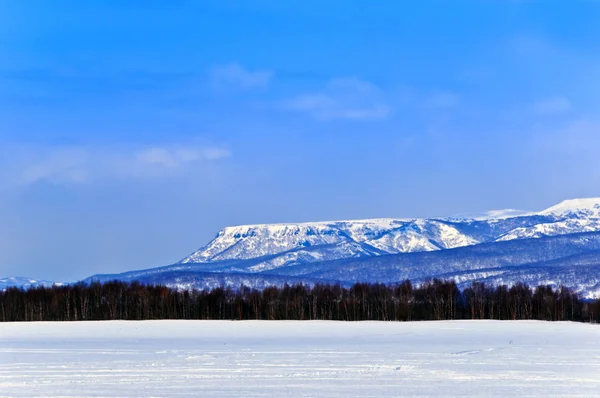 Холм в снегу — стоковое фото