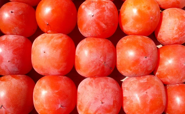 Rød persimmon - Stock-foto