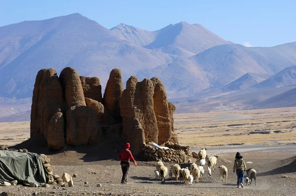 Landschaft in Tibet — Stockfoto