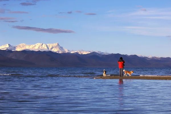 Lago no Tibete — Fotografia de Stock