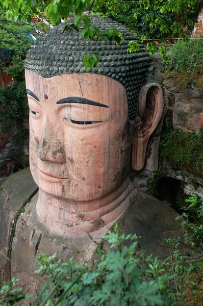 Portrait Une Tête Bouddha Géante Sichuan Chine — Photo
