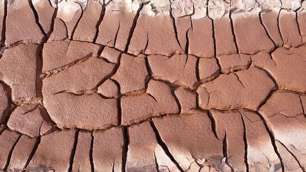 Terra seca e rachada — Fotografia de Stock