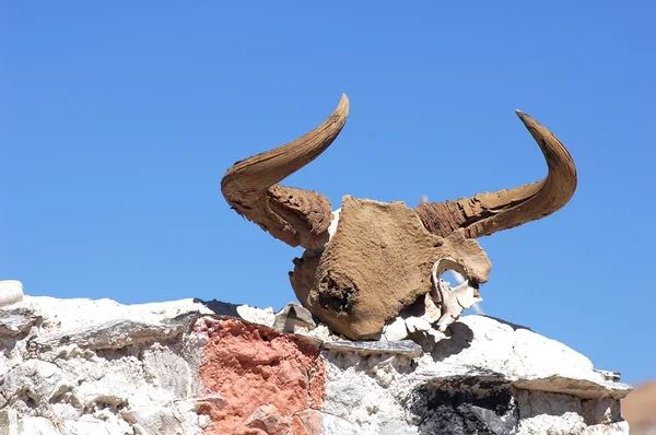 牦牛头颅骨的白墙上 在西藏 与蓝蓝的天空为背景的特写视图 — 图库照片