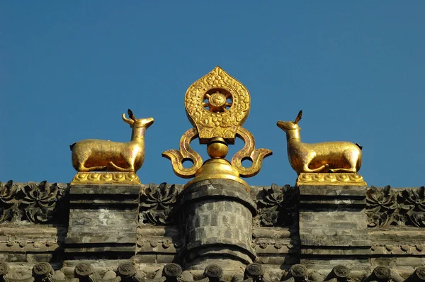 具有里程碑意义的金色屋顶的西藏喇嘛寺 — 图库照片