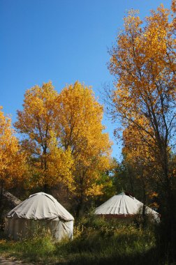 Tents in the autumn woods clipart