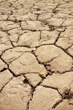 Closeup view of dried and cracked earth clipart