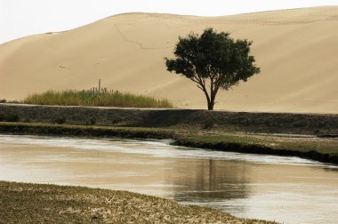 Landscape of river and sandhills with a single tree clipart