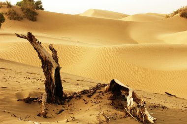 Landscape of deserts clipart