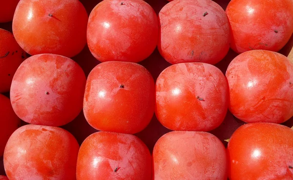 在秋天的红柿果 — 图库照片