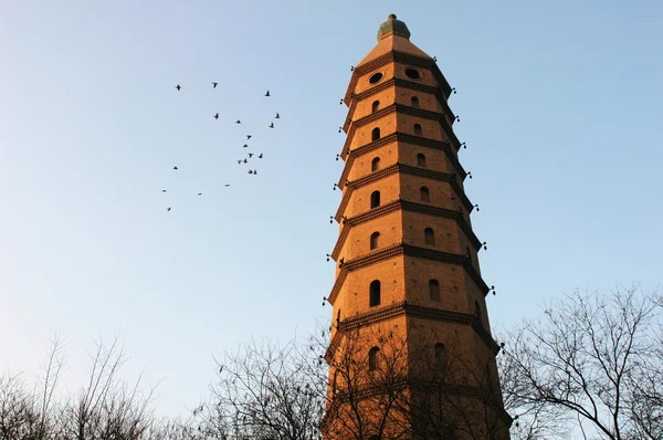 Monumento Una Pagoda Histórica China —  Fotos de Stock
