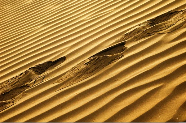 Scenery Desert Textures Sandhill — Stock Photo, Image