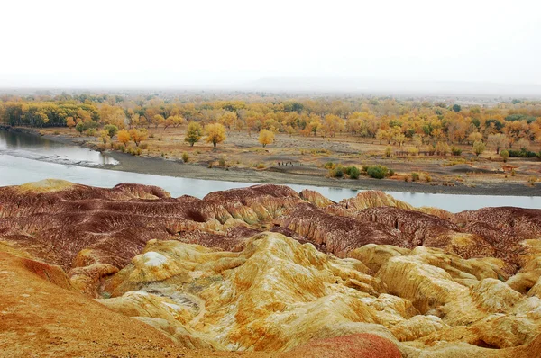 Landschap Van Kleurrijke Heuvels Aan Rivier Herfst — Stockfoto