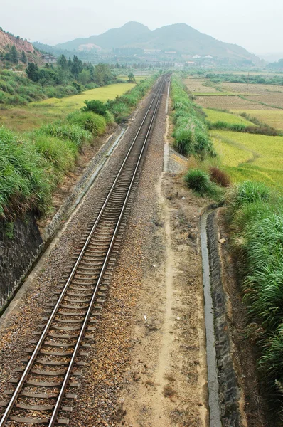 Landscape Railroad Fields — Stock Photo, Image