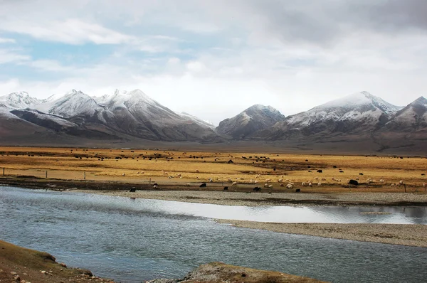 雪山山脉与西藏流的景观 — 图库照片