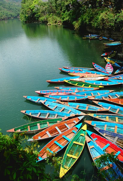 Colorful tour boats — Stock Photo, Image