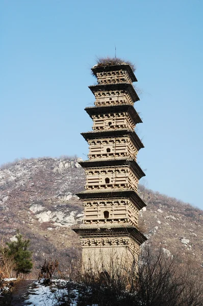 Antica pagoda — Foto Stock