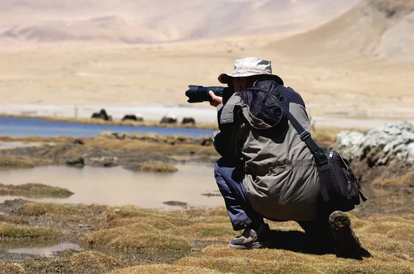 Photographer Shooting Pictures Wilderness Highlands — Stock Photo, Image