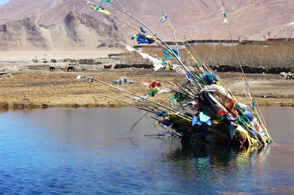 Landschap in tibet — Stockfoto