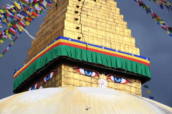 Dettagli Una Pagoda Buddista Storica Kathmandu — Foto Stock