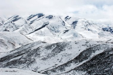 Karlı dağların manzarası