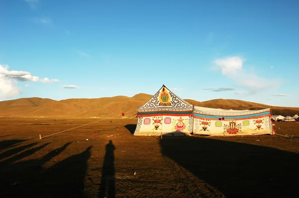 Палатка на лугу — стоковое фото