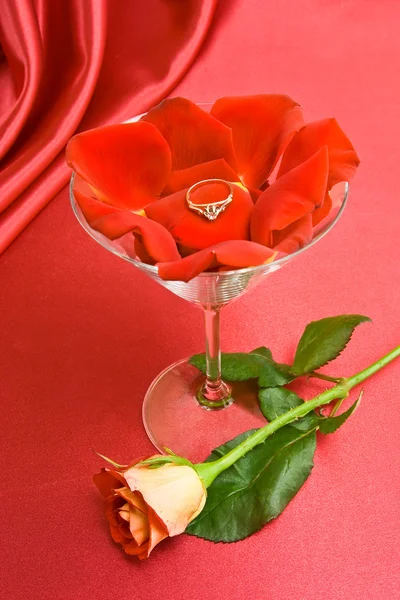 Τριαντάφυλλο στο παρόν. — Φωτογραφία Αρχείου