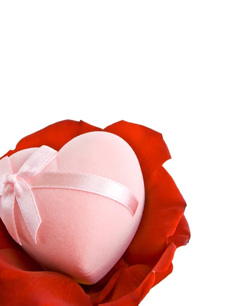 Srdce Leží Okvětních Lístcích Růže Izolováno Bílém — Stock fotografie