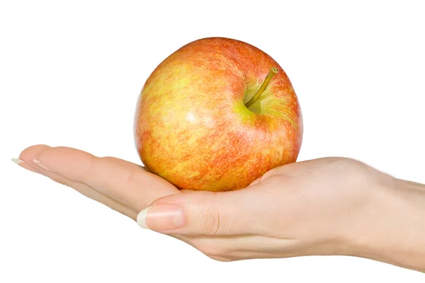 Fresh red apple in the women`s hand. — Stock Photo, Image