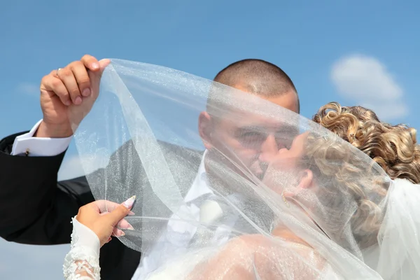 O noivo e a noiva beijam-se abaixo de um véu — Fotografia de Stock