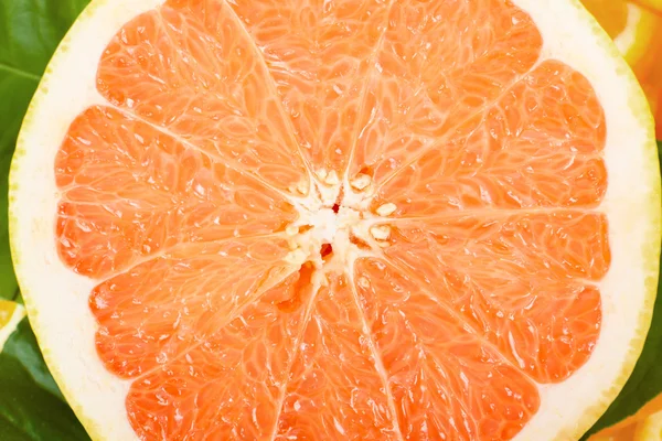 Juicy grapefruit — Stock Photo, Image