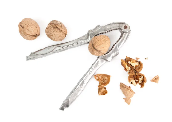 stock image Nutcracker and walnuts